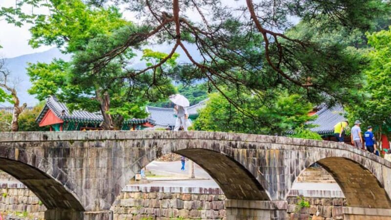 Busan: Discovery Tour With Snow & UNESCO Spot - What We Love About This Tour