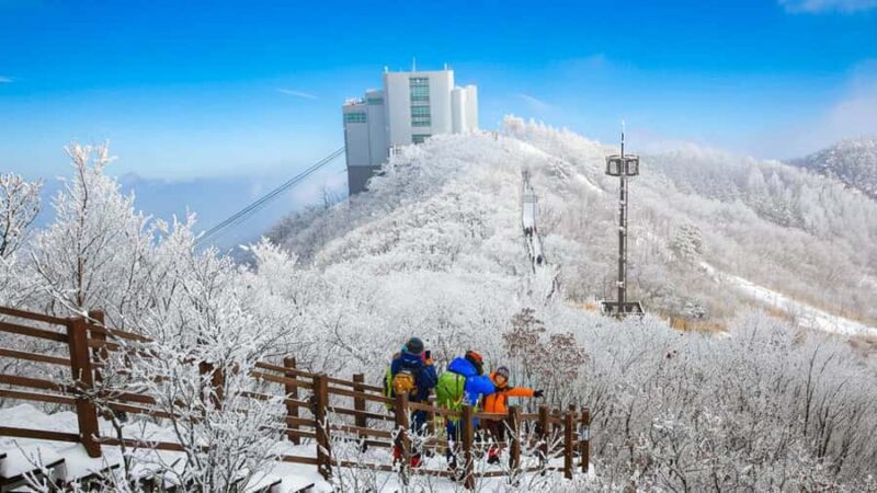 Busan: Discovery Tour With Snow & UNESCO Spot - Good To Know