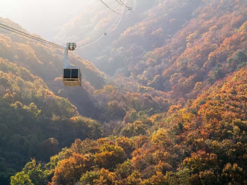 Busan: Discovery Tour With Snow & UNESCO Spot - Practical Details and Experience Highlights