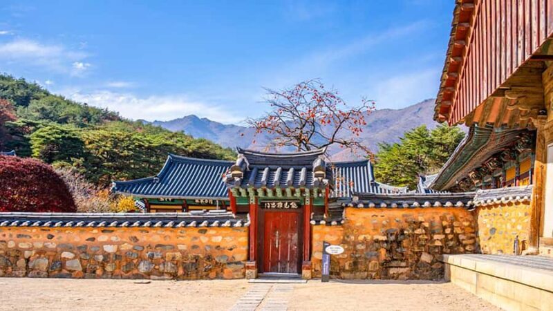 Busan: Discovery Tour With Snow & UNESCO Spot - Final Thoughts: Who Will Love This Tour?