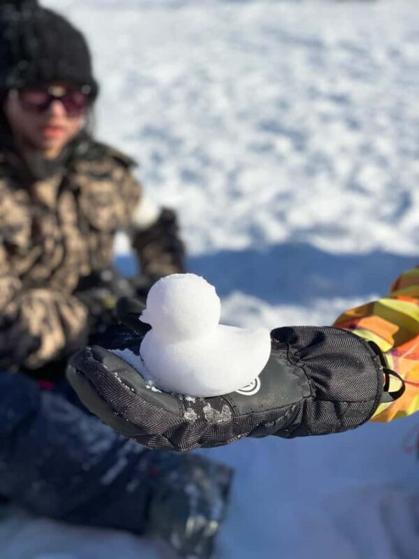 Busan: Eden Valley Resort Winter Ski Day Tour - Equipment, Packages, and Pricing