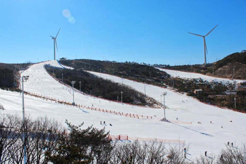 Busan: Eden Valley Resort Winter Ski Day Tour - The Sum Up