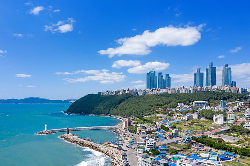 Busan Full-Day 9 Iconic Spots Tour with Hidden Gems - Busan highlights, at a glance