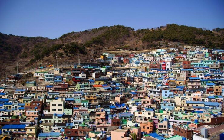 Busan Full-Day Private Tour With Daily Chauffeur - Key Points