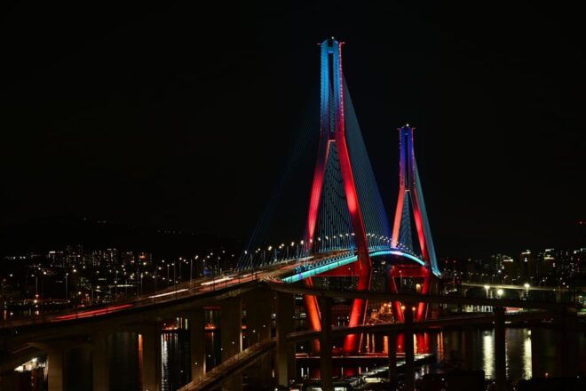 Busan Full-Day Private Tour With Daily Chauffeur - Booking Process