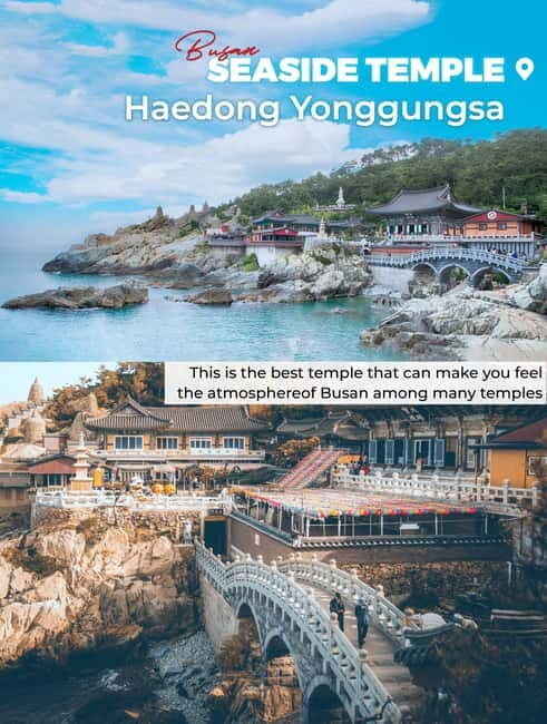 Busan: Full-Day Tour Unmissable things to do in Busan - Exploring the Vibrant Gamcheon Culture Village  