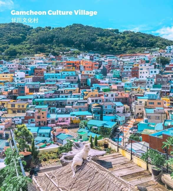 Busan: Full-Day Tour Unmissable things to do in Busan - The Breathtaking Haedong Yonggungsa Temple  