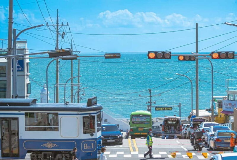 Busan: Full-Day Tour Unmissable things to do in Busan - Practical Details & Tips