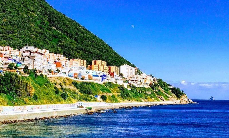 Busan Gamcheon Culture Village Full-Day Tour - A half-day connection between sea and hillside