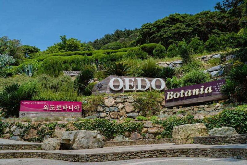 Busan: Geoje Coastal Escape, Sea Breeze& Oedo Botania Island - Who Will Love This Tour?