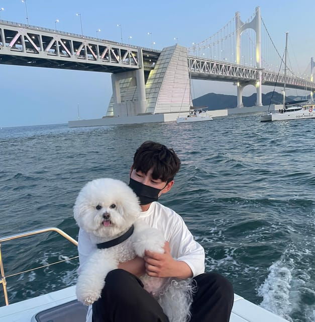 Busan: Group Sightseeing Yacht Cruise With Snacks and Drinks - Key Points