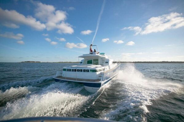 Busan: Group Sightseeing Yacht Cruise With Snacks and Drinks - Important Information for Guests