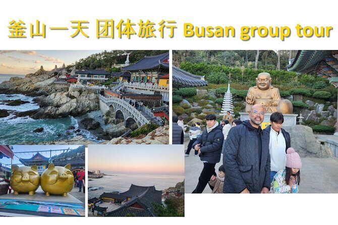 Busan Group Tour for Cruise ship passengers (Max 12 Guests) - A Closer Look at the Itinerary