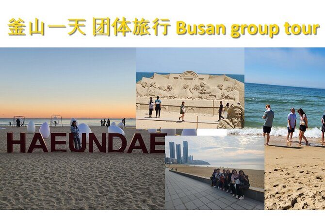 Busan Group Tour for Cruise ship passengers (Max 12 Guests) - Who Is This Tour Best Suited For?