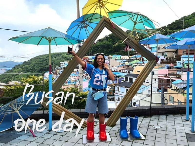 Busan / Gyeongju Customizable Private Tour (up to 8pax) - What You Can Expect on the Day