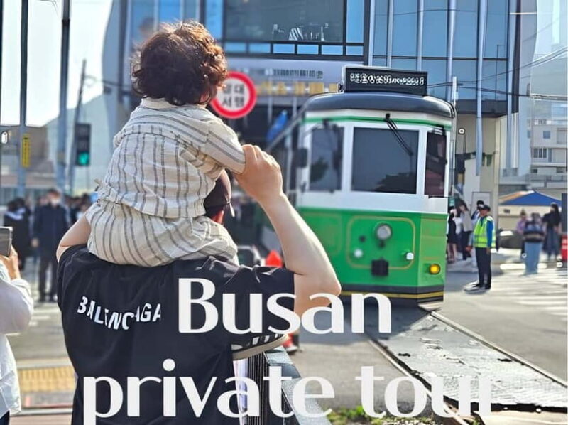 Busan / Gyeongju Customizable Private Tour (up to 8pax) - Good To Know