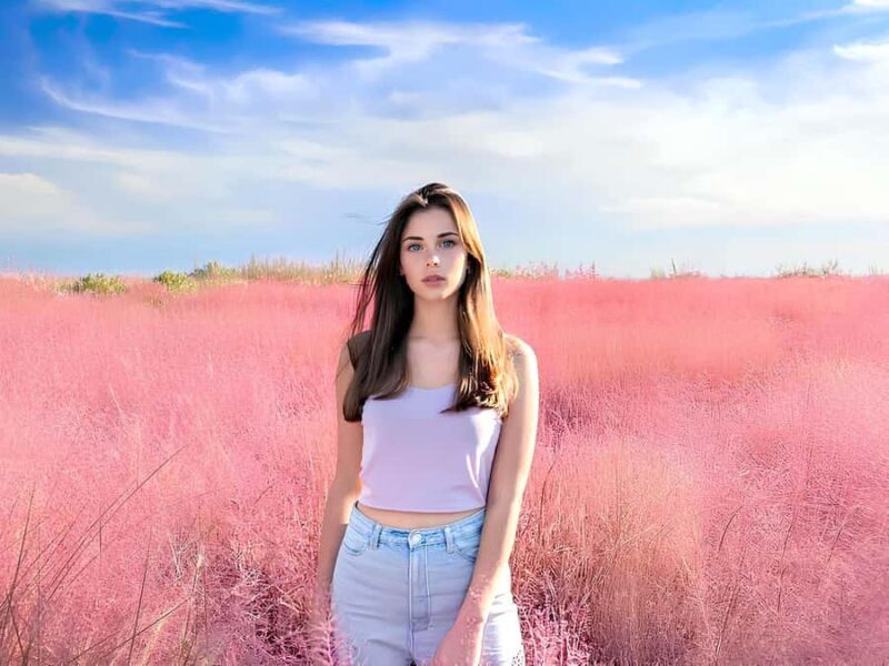 Busan: Gyeongju UNESCO Customizable Private Day & Night Tour - Good To Know