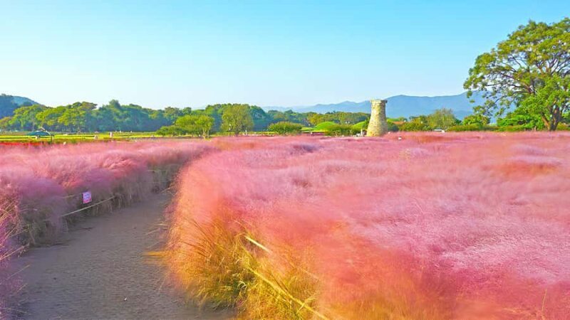 Busan: Gyeongju UNESCO Customizable Private Day & Night Tour - Who is This Tour Best For?