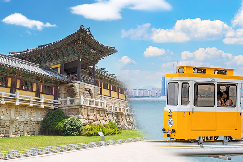 Busan & Gyeongju UNESCO Site Full-Day Tour with Sky Capsule - At a glance