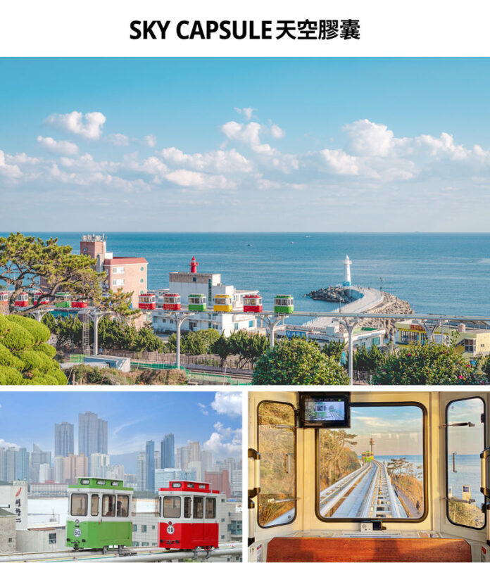 Busan & Gyeongju UNESCO Site Full-Day Tour with Sky Capsule - One day, two very different destinations