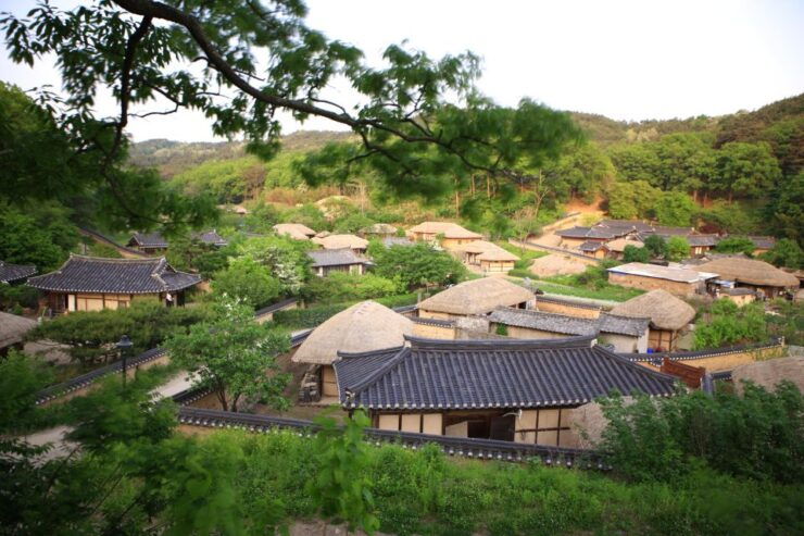 Busan: Gyeongju UNESCO World Heritage Day Tour - Activity Details