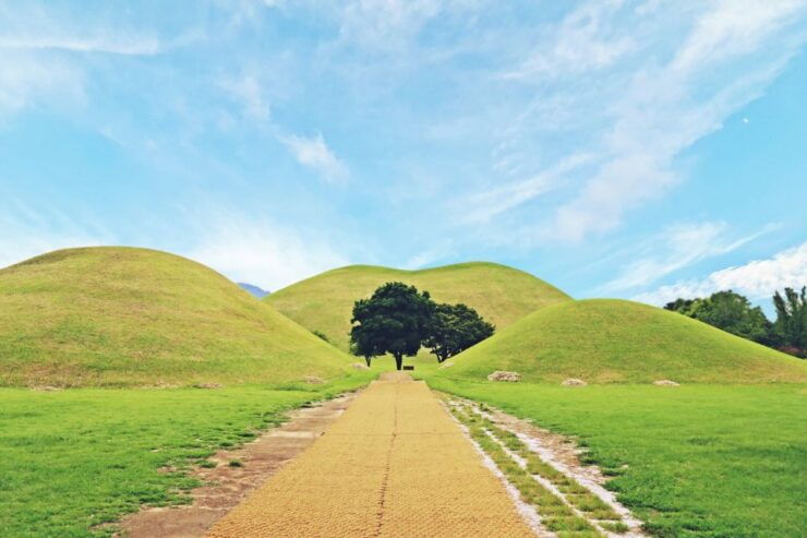 Busan: Gyeongju UNESCO World Heritage Day Tour - Activity Details
