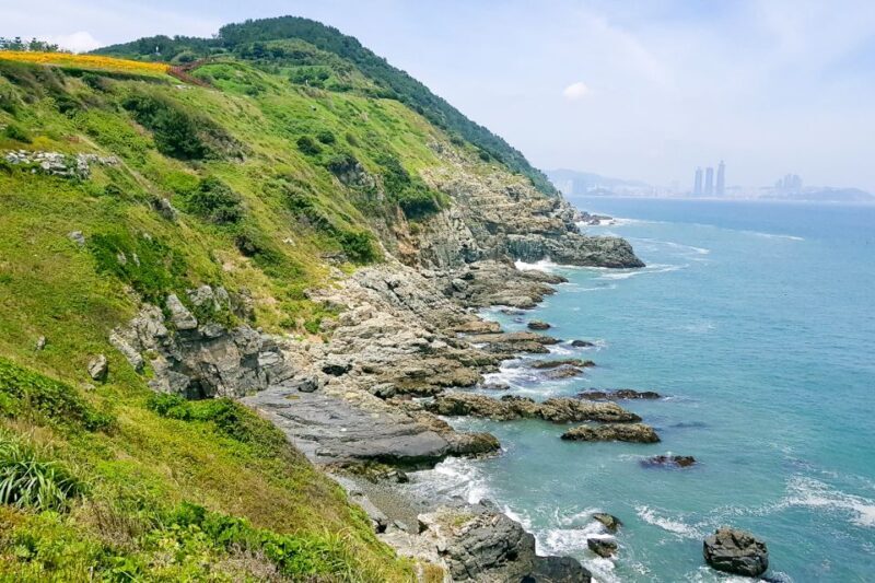 Busan: Haedong Yonggungsa Temple, Camellias Island & More - Good To Know