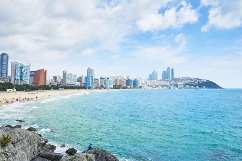 Busan: Haedong Yonggungsa Temple, Camellias Island & More - A Well-Balanced Tour of Busan’s Finest