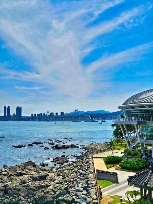 Busan: Haeundae 100-Minute Walking Tour - Who Will Love This Tour?