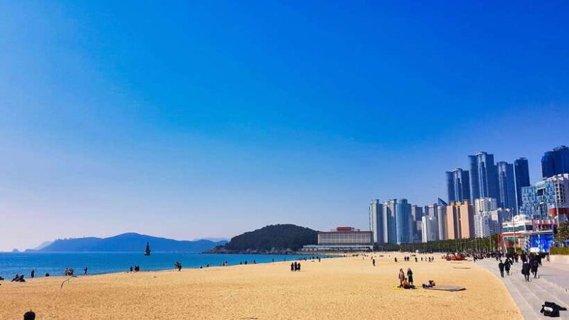 Busan: Haeundae 100-Minute Walking Tour - Good To Know
