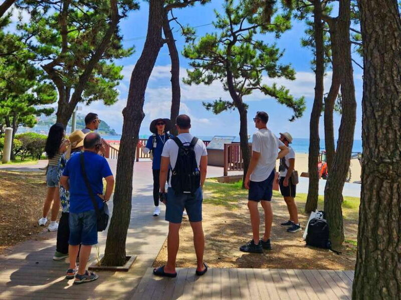 Busan: Haeundae 100-Minute Walking Tour - An In-depth Look at the Tour Itinerary