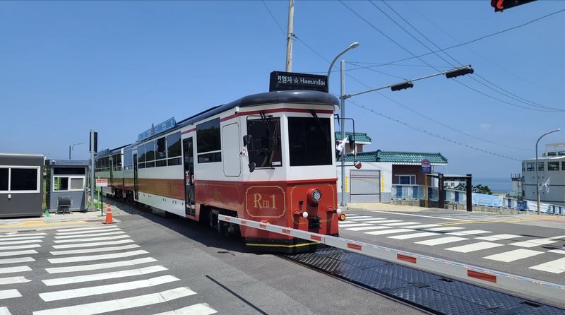 Busan Haeundae Blueline Park Sky Capsule & Beach Train Voucher - Timing, crowds, and seasonal hours