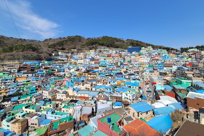 Busan Half-Day Private Tour in English (Upto 5 Pax) - Reviews