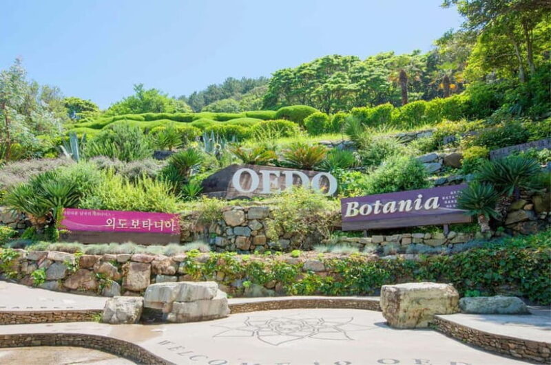 Busan: Hidden Gem Geoje & Oedo Botania Island & Cable car - An In-Depth Look at the Day Trip Experience