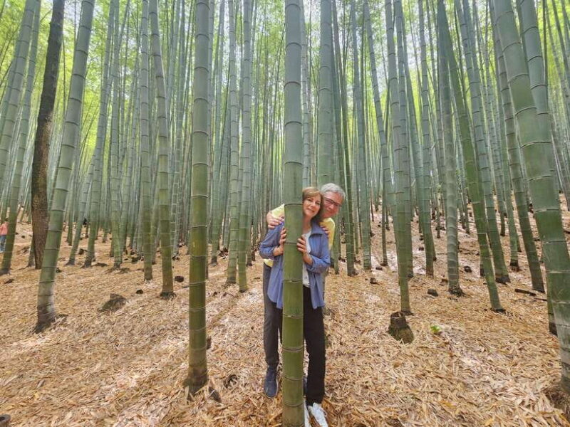 Busan Hidden Gems Private Tour with a Certified Guide - Transportation and Group Size: Why They Matter