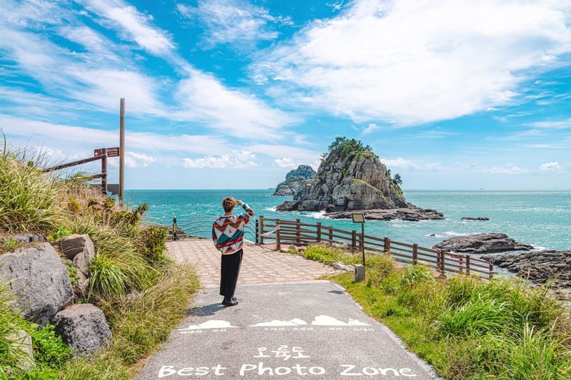 Busan Highlight City Tour with Sky Capsule, Gamcheon, Jagalchi &More - Who should book this Busan day tour?