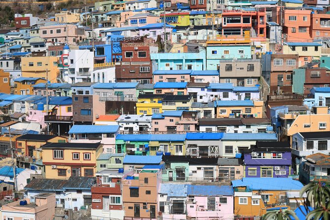 Busan Highlight Small Group Tour Including Gamcheon and Yonggugsa Temple - Available Meeting Points