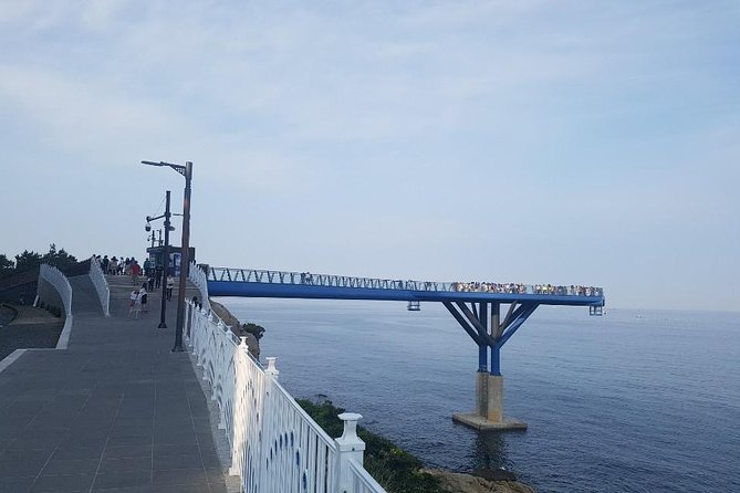 Busan Highlights Private 2-Day Tour With Local Guide - Questions and Help