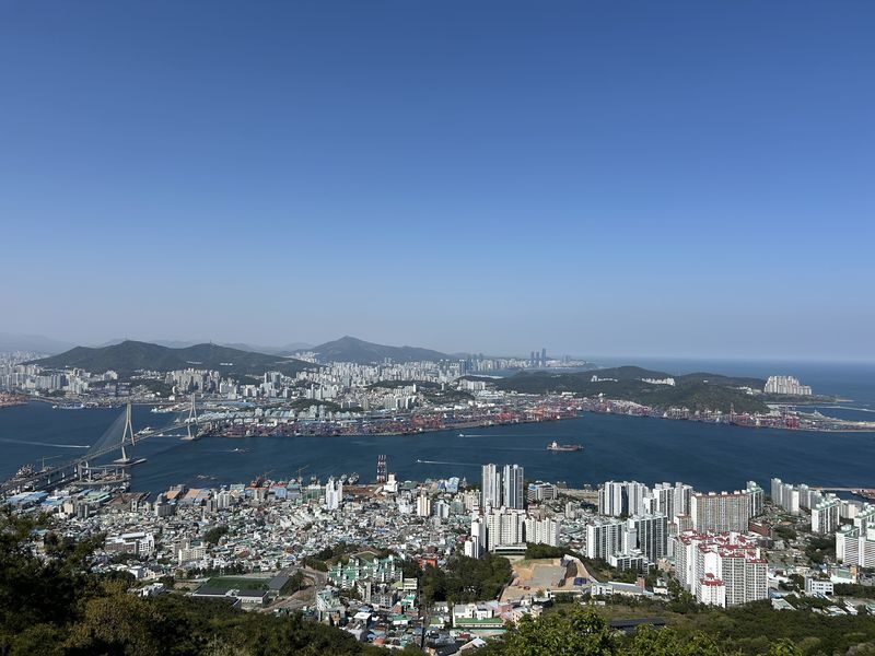 Busan Hiking & Food Experience - What to bring and know before booking