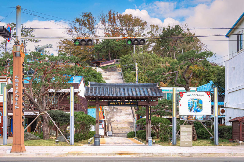 Busan Homigot & Hwanho Park Full-Day Small Group Tour - The guide can shape the whole day