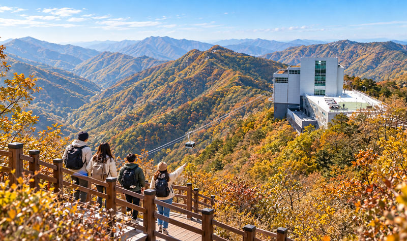 Busan: Ice Valley Cable Car & UNESCO Nature Discovery Tour - Key points to know before you go