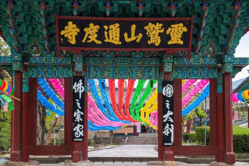Busan: Ice Valley Cable Car & UNESCO Nature Discovery Tour - Four stops, four sides of the region