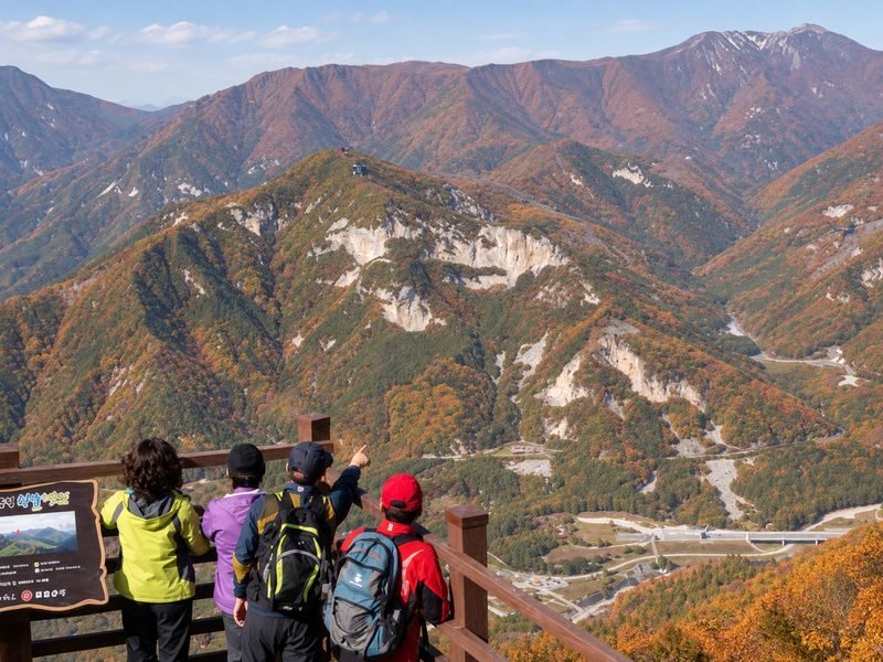 Busan: Ice Valley Cable Car & UNESCO Nature Discovery Tour - Who should book this Busan day trip?