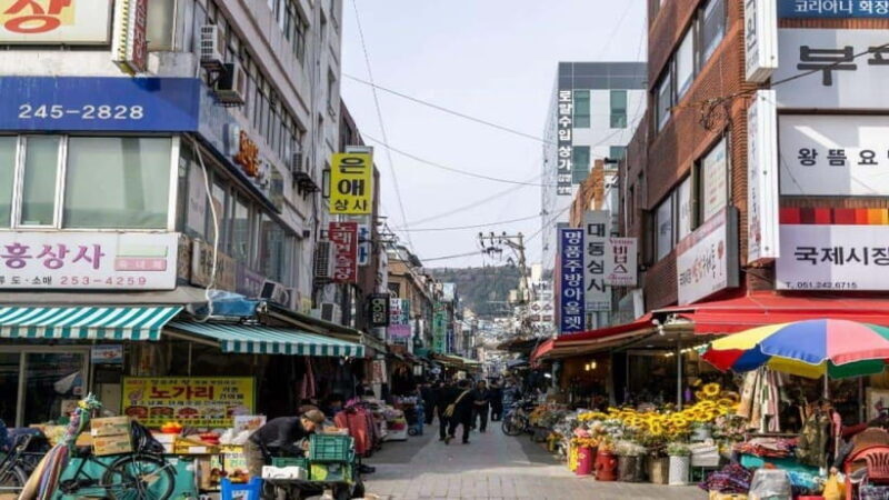 Busan: Jagalchi Market & Gamcheon village Walking Tour - Good To Know