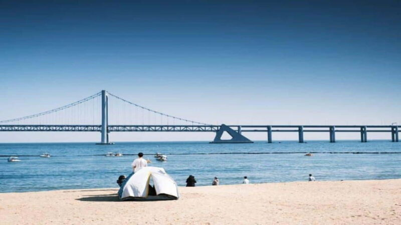 Busan: Jagalchi Market & Gamcheon village Walking Tour - Whats Included and Whats Not