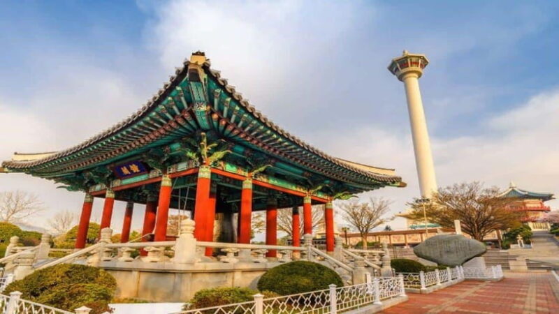 Busan: Jagalchi Market & Gamcheon village Walking Tour - Final Thoughts