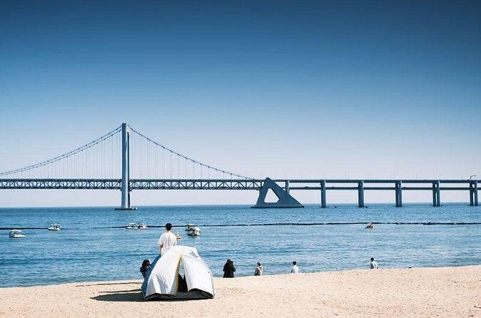 Busan: Jagalchi Market & Gamcheon Village Walking Tour With Guide - Practicalities & What to Expect