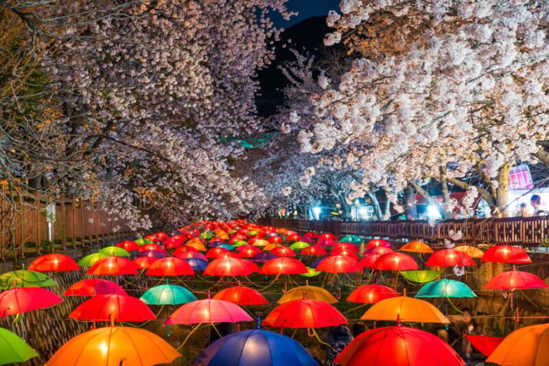 Busan: Jinhae Cherry Blossom Festival Day or Night Tour - Final Thoughts