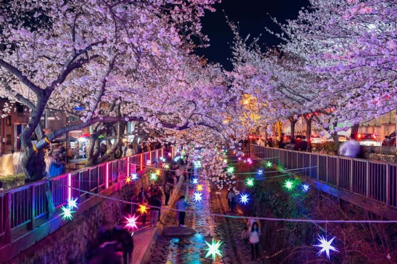 Busan: Jinhae Cherry Blossom Festival Day or Night Tour - Overall Value and Experience
