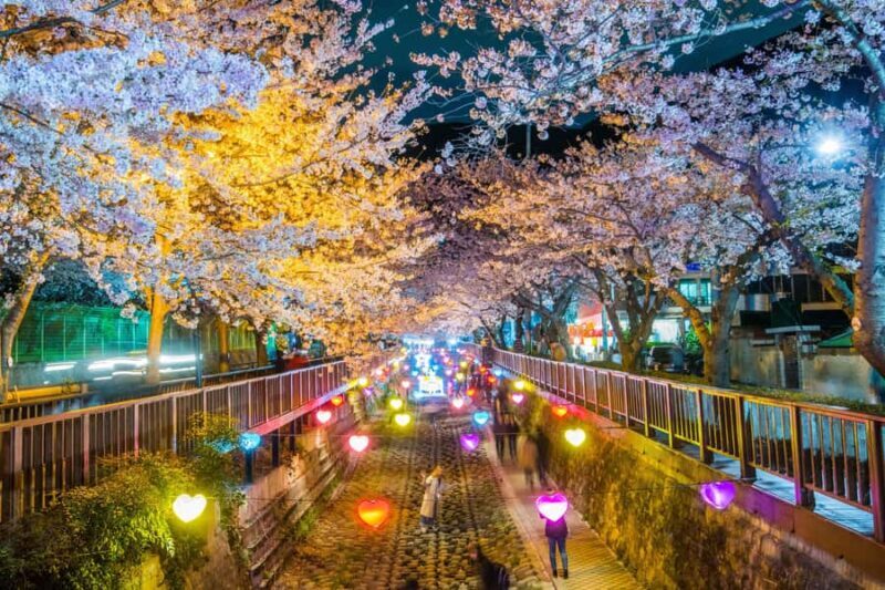 Busan: Jinhae Cherry Blossom Festival Day or Night Tour - FAQ